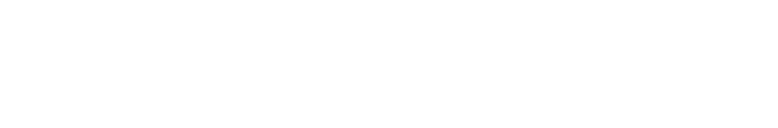 msrlogo